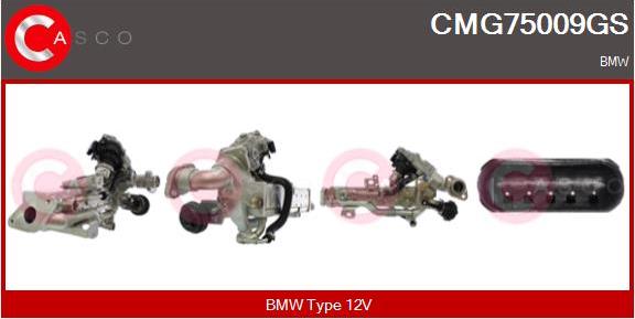 Casco CMG75009GS - Modul-EGR aaoparts.ro