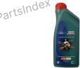 Castrol 15D5E6 - Ulei de motor aaoparts.ro