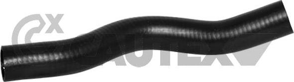 Cautex 466046 - Furtun radiator aaoparts.ro