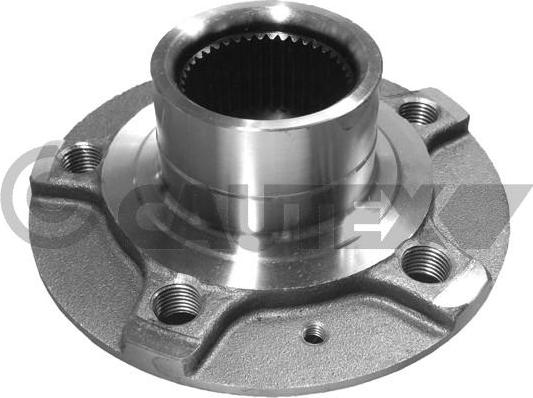 Cautex 462555 - Butuc roata aaoparts.ro