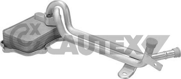 Cautex 462528 - Radiator ulei, ulei motor aaoparts.ro