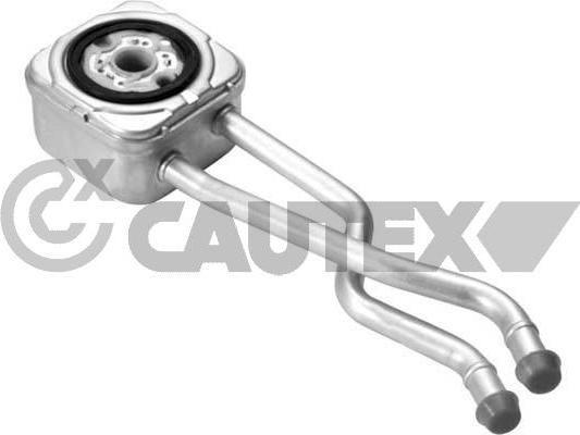 Cautex 462527 - Radiator ulei, ulei motor aaoparts.ro