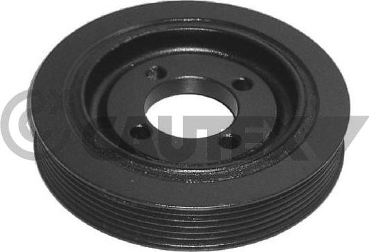 Cautex 480902 - Fulie curea, arbore cotit aaoparts.ro