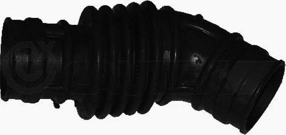 Cautex 481070 - Palnie, filtru de aer aaoparts.ro