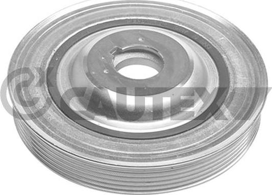 Cautex 081244 - Fulie curea, arbore cotit aaoparts.ro