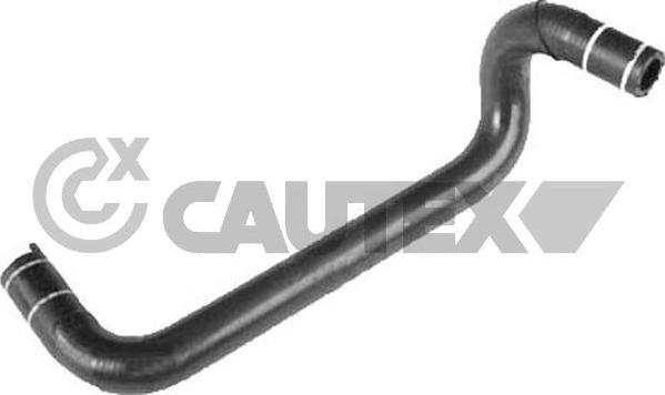 Cautex 036091 - Furtun radiator aaoparts.ro