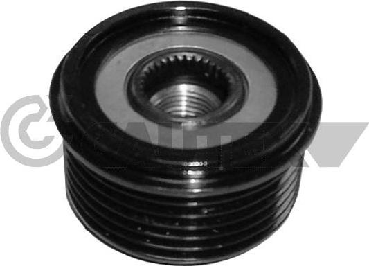 Cautex 030953 - Fulie, alternator aaoparts.ro