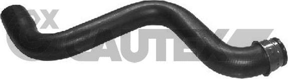Cautex 031064 - Furtun radiator aaoparts.ro