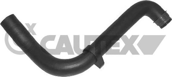 Cautex 031067 - Furtun radiator aaoparts.ro