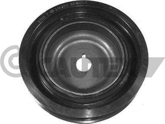 Cautex 754650 - Fulie curea, arbore cotit aaoparts.ro