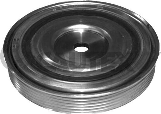 Cautex 754639 - Fulie curea, arbore cotit aaoparts.ro