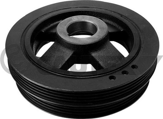 Cautex 754676 - Fulie curea, arbore cotit aaoparts.ro