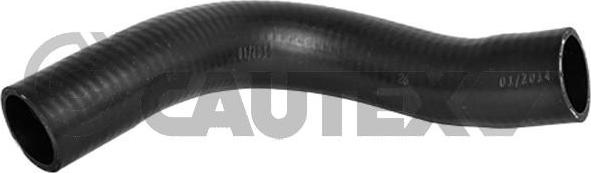 Cautex 754141 - Furtun radiator aaoparts.ro