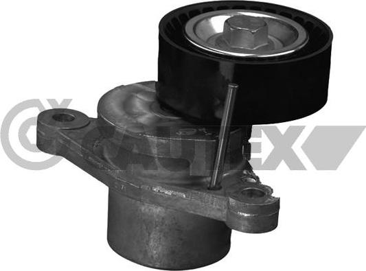 Cautex 756836 - Intinzator curea, curea distributie aaoparts.ro