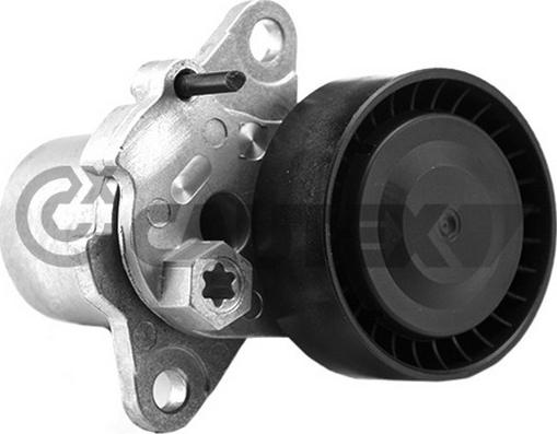 Cautex 756832 - Intinzator curea, curea distributie aaoparts.ro