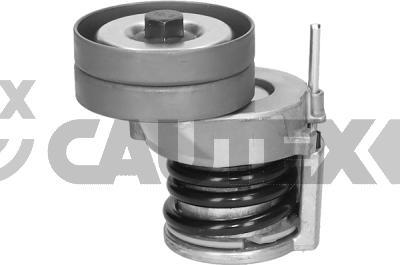 Cautex 751718 - Intinzator curea, curea distributie aaoparts.ro
