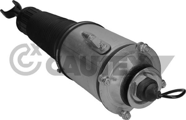 Cautex 752012 - Brat arc pneumatic aaoparts.ro