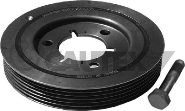 Cautex 752329 - Fulie curea, arbore cotit aaoparts.ro