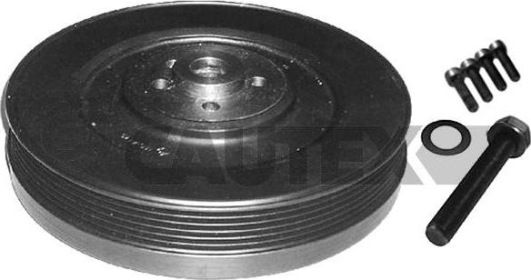Cautex 752326 - Fulie curea, arbore cotit aaoparts.ro