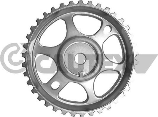 Cautex 769631 - Roata dintata, ax cu came aaoparts.ro