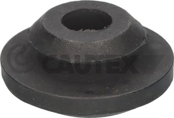 Cautex 769069 - Suport radiator aaoparts.ro