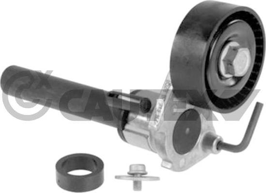 Cautex 769859 - Intinzator curea, curea distributie aaoparts.ro