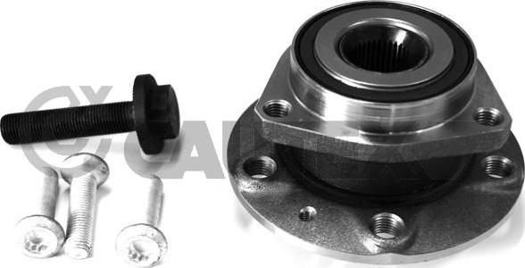 Cautex 764413 - Set rulment roata aaoparts.ro