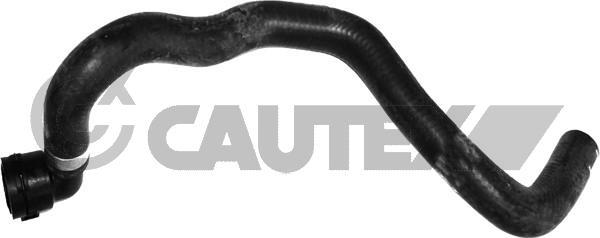 Cautex 765574 - Furtun radiator aaoparts.ro