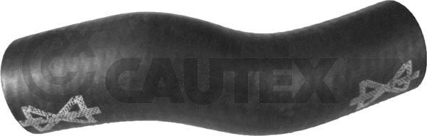 Cautex 765577 - Furtun radiator aaoparts.ro