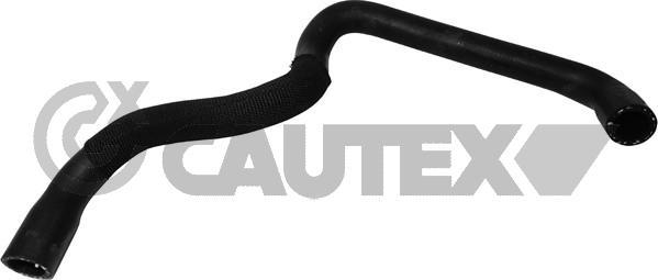 Cautex 765149 - Furtun radiator aaoparts.ro