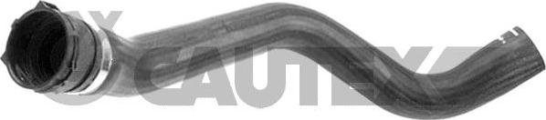 Cautex 766975 - Furtun radiator aaoparts.ro