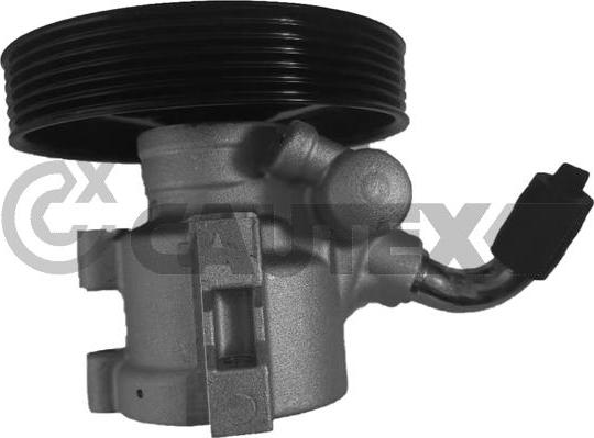 Cautex 768312 - Pompa hidraulica, sistem de directie aaoparts.ro
