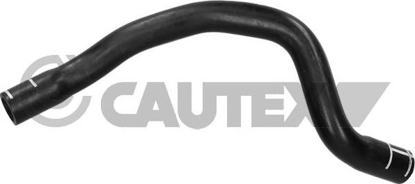 Cautex 768241 - Furtun combustibil aaoparts.ro