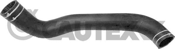 Cautex 767035 - Furtun radiator aaoparts.ro