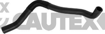 Cautex 775822 - Furtun radiator aaoparts.ro