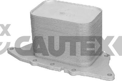 Cautex 775764 - Radiator ulei, ulei motor aaoparts.ro