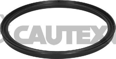 Cautex 776044 - Inel etansare, furtun aer supraalimentare aaoparts.ro