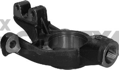 Cautex 776080 - Articulatie directie, suspensie roata aaoparts.ro