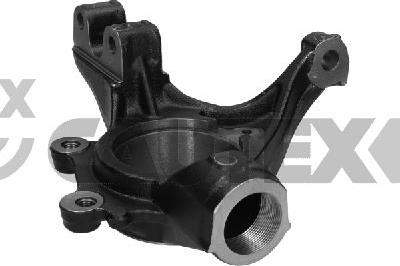 Cautex 776079 - Articulatie directie, suspensie roata aaoparts.ro