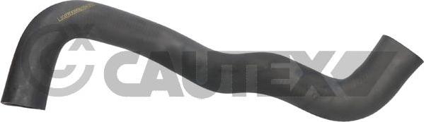 Cautex 776845 - Furtun radiator aaoparts.ro