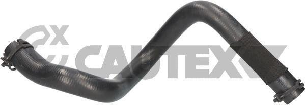 Cautex 776796 - Furtun radiator aaoparts.ro