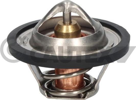 Cautex 770204 - Termostat,lichid racire aaoparts.ro