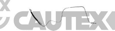 Cautex 771400 - Furtun frana aaoparts.ro