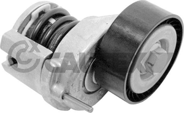 Cautex 771086 - Set reparatie, brat tensionare curea trapezoidala aaoparts.ro