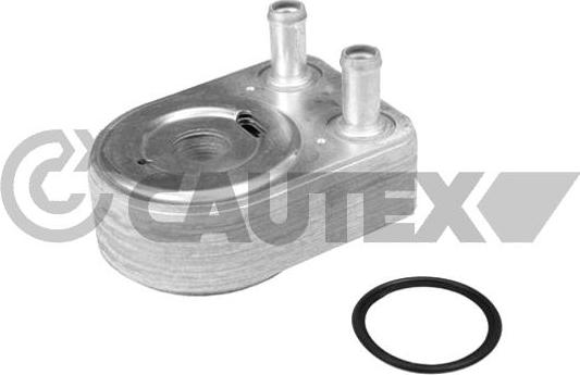 Cautex 771874 - Radiator ulei, ulei motor aaoparts.ro