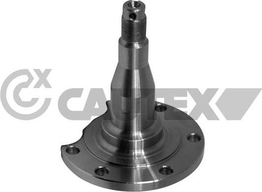 Cautex 771745 - Articulatie directie, suspensie roata aaoparts.ro