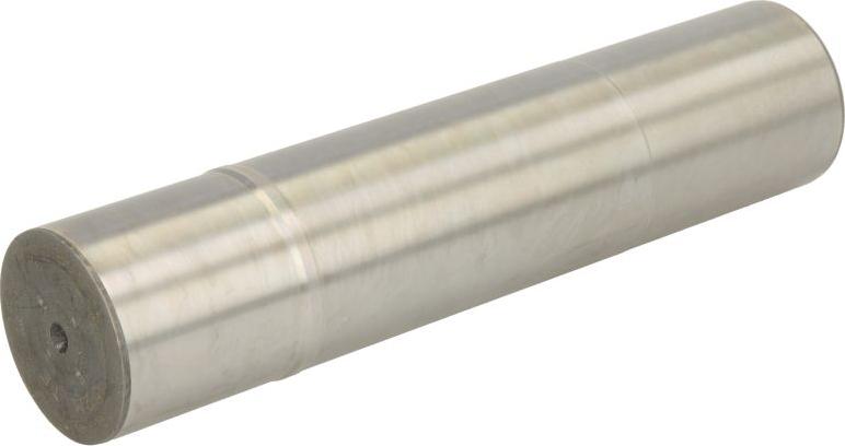 C.E.I. 101260 - Pivot aaoparts.ro