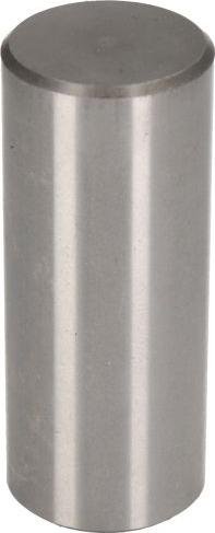 C.E.I. 107.098 - Cruce ax, Roata dintata conica de echilibrare-Diferential aaoparts.ro