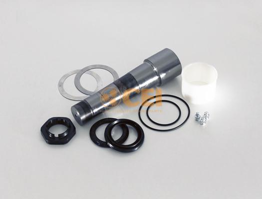 C.E.I. 230.065 - Set reparatie, pivot aaoparts.ro