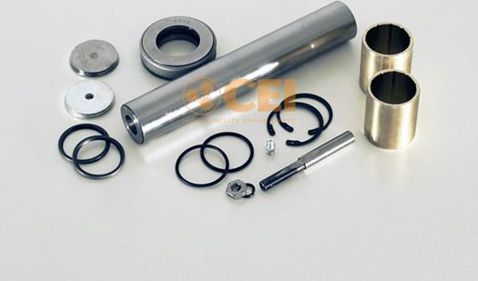 C.E.I. 230.004 - Set reparatie, pivot aaoparts.ro